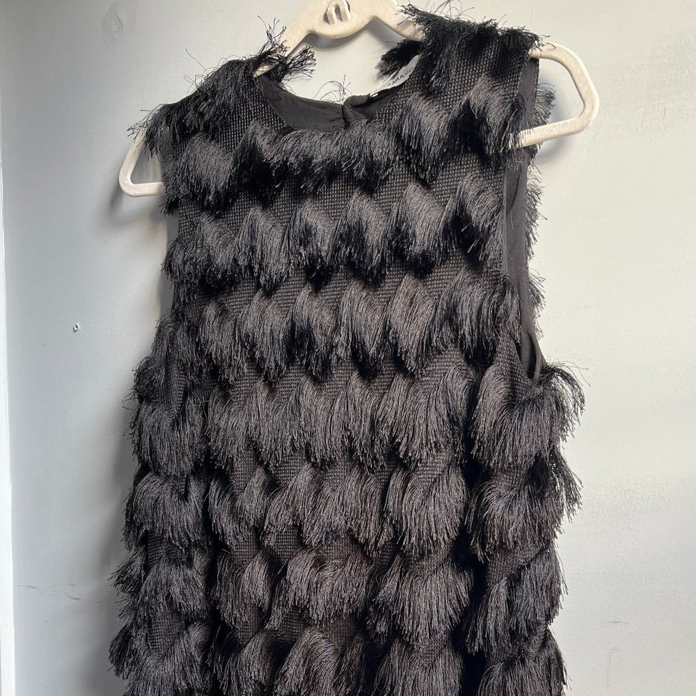 Zara Layered Sleeveless Fringe Mini Dress